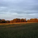 Au Grain D'orge