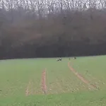 Au Grain D'orge * Echire