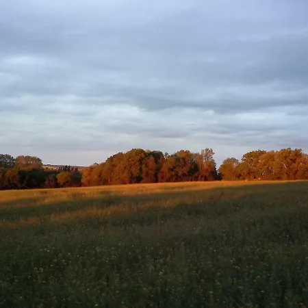 Au Grain D'orge