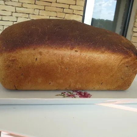 Au Grain D'orge Hébergement de vacances Echire