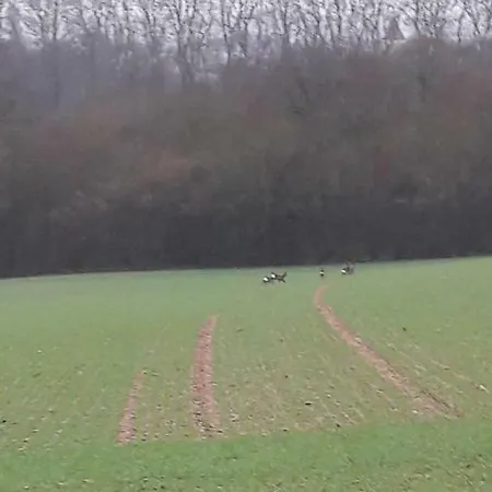 Au Grain D'orge * Echire