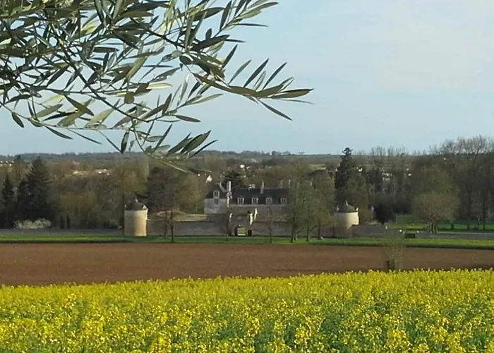 Au Grain D'orge 度假居 *