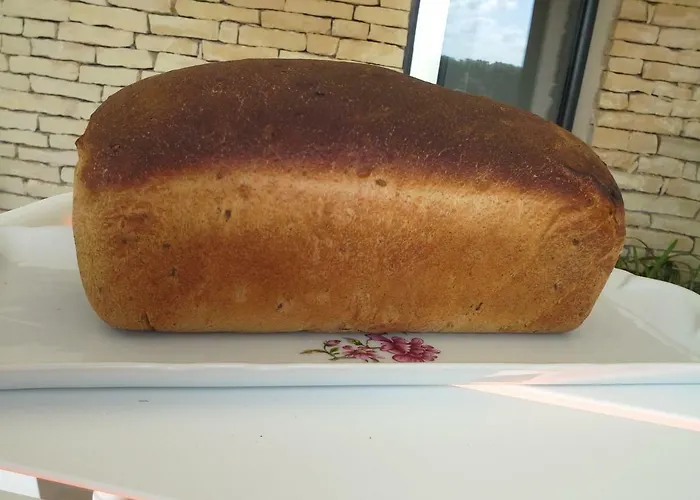 Au Grain D'orge 度假居 Echire